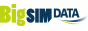 bigsim logo